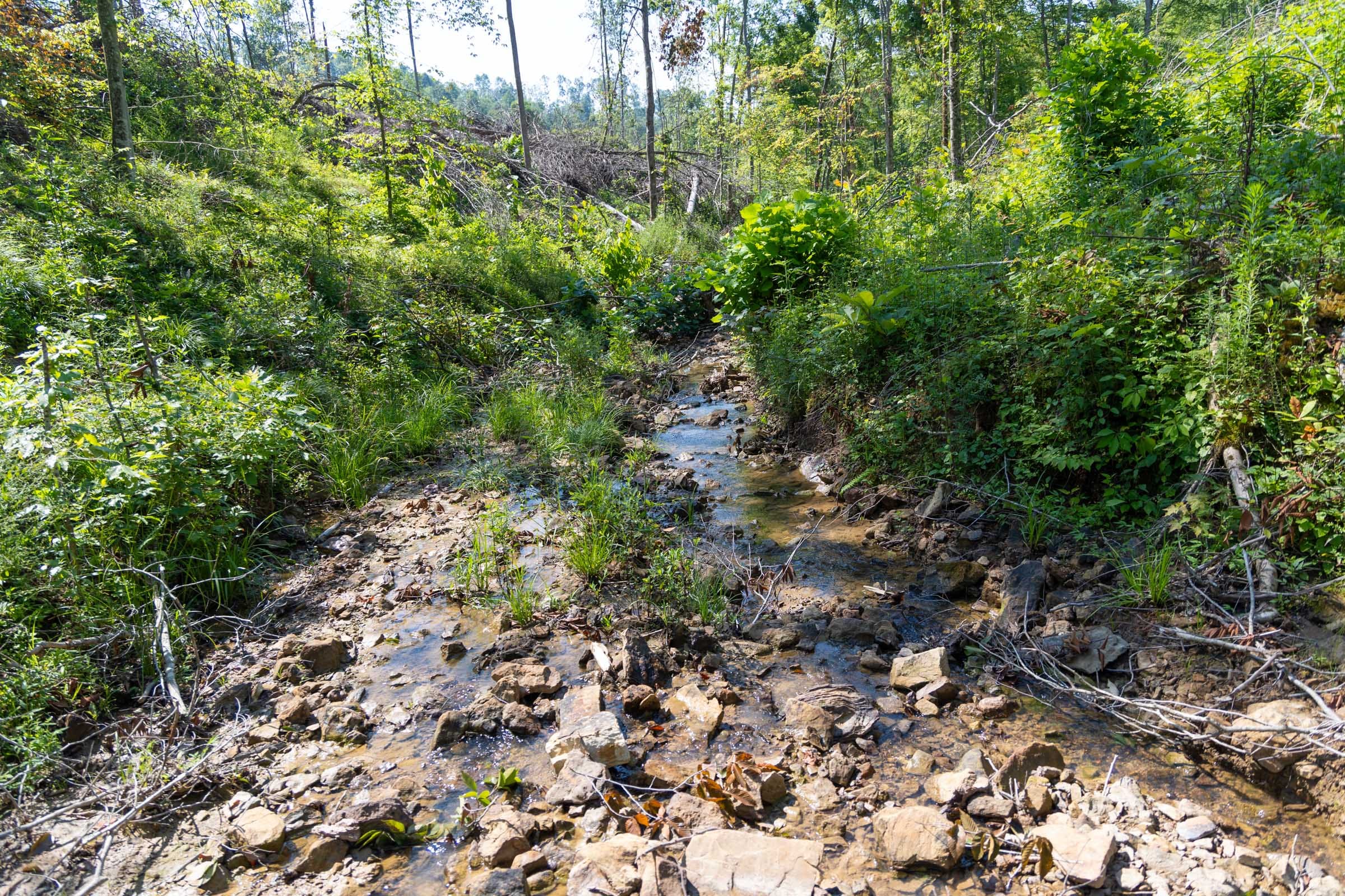 Creek Hollow Phase II Tract 74 photo 6