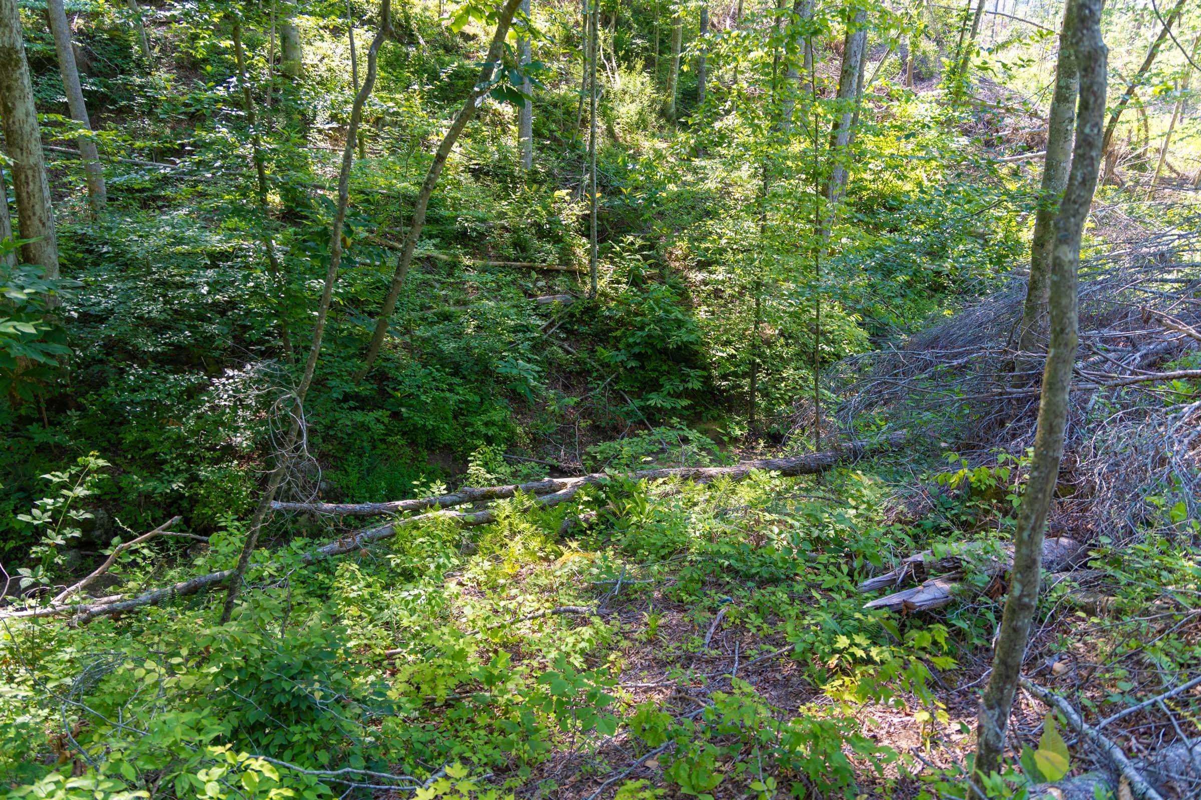 Creek Hollow Phase II Tract 74 photo 5