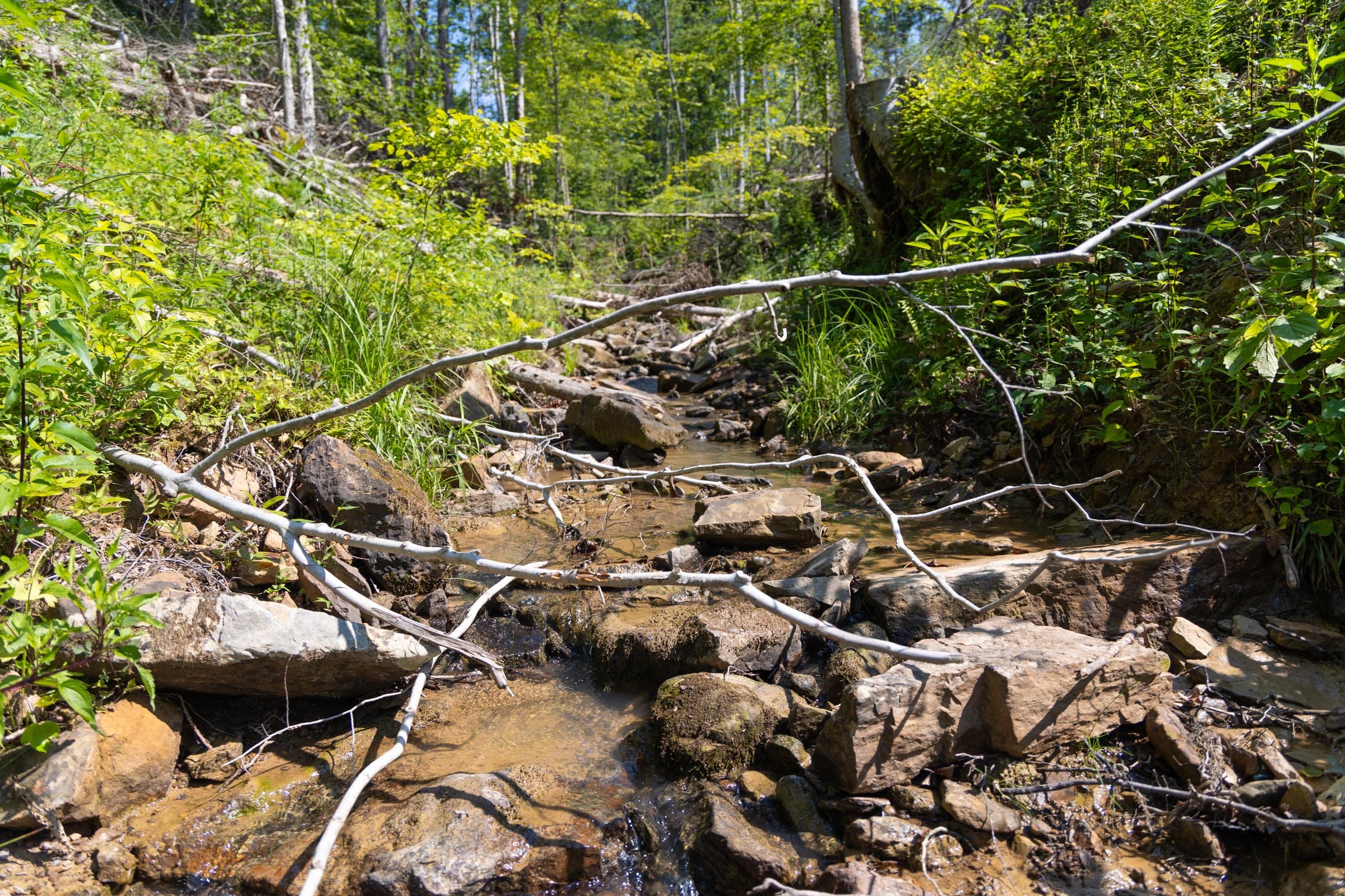 Creek Hollow Phase II Tract 74 photo 4