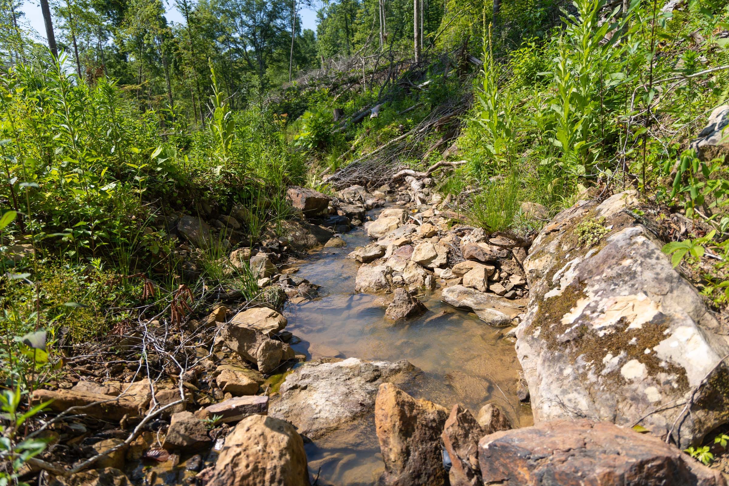 Creek Hollow Phase II Tract 74 photo 1