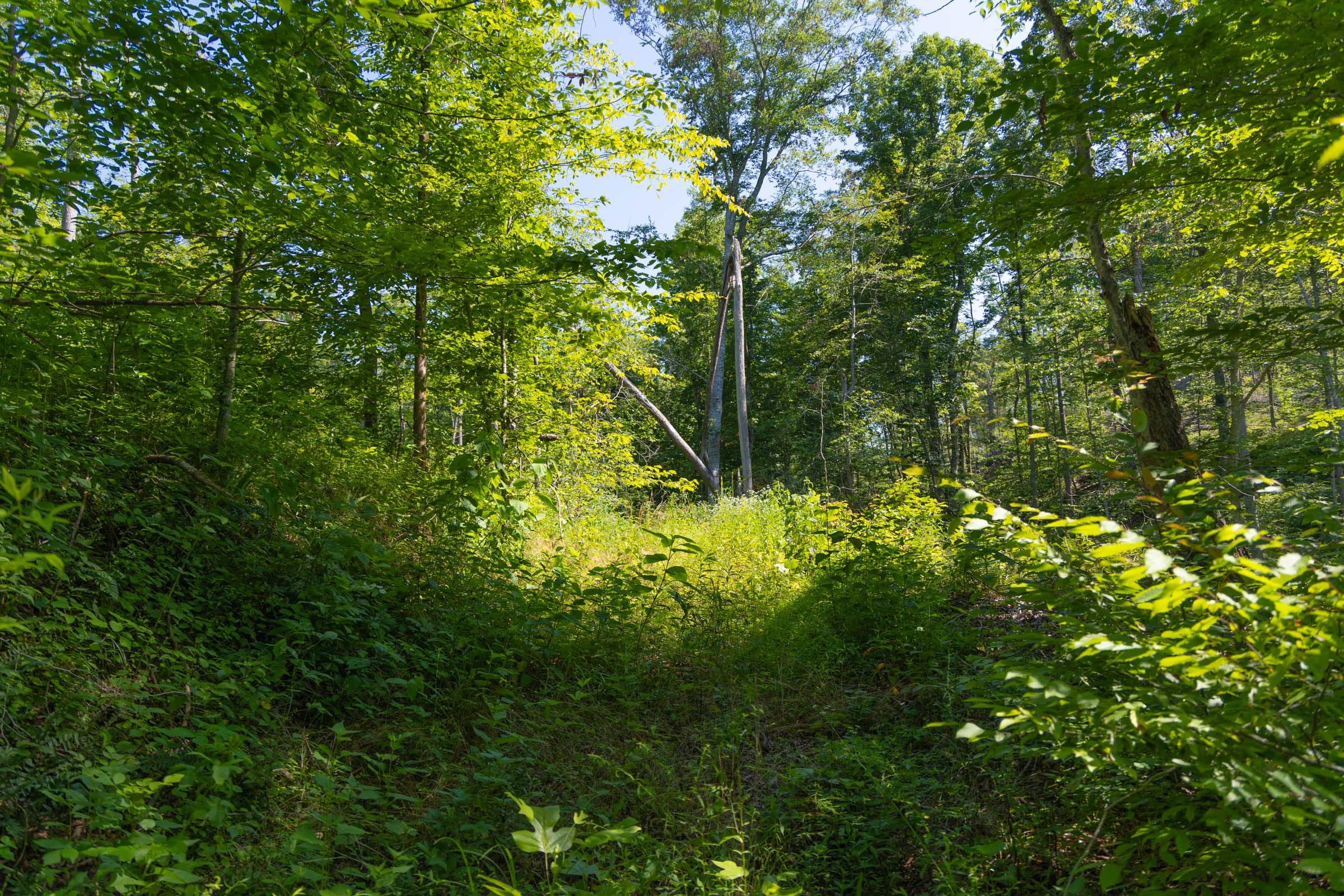Creek Hollow Phase II Tract 74 photo 2
