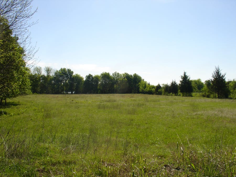 Red River Ranch Tract 11 photo 6