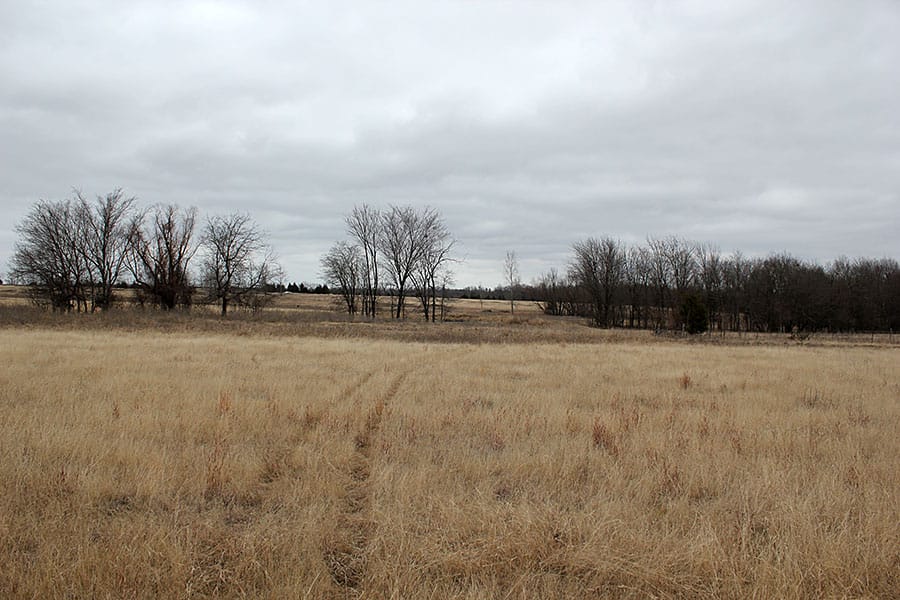 Red River Ranch Tract 11 photo 8