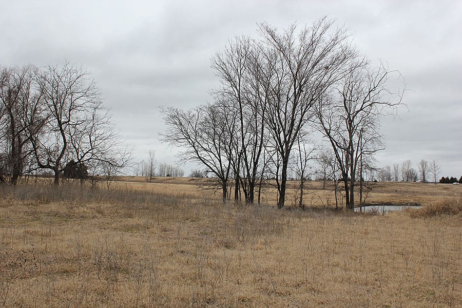 Red River Ranch Tract 11 photo 10