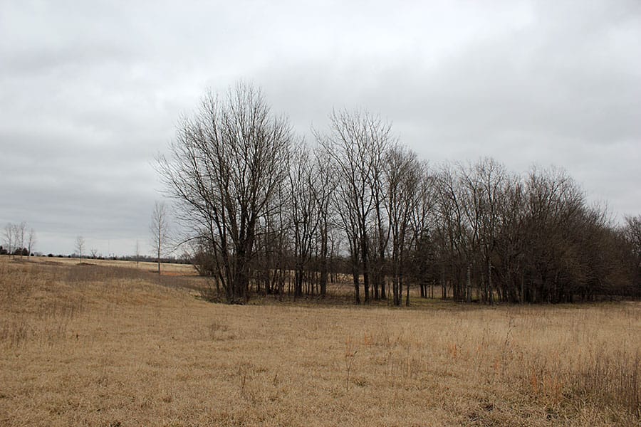 Red River Ranch Tract 11 photo 12
