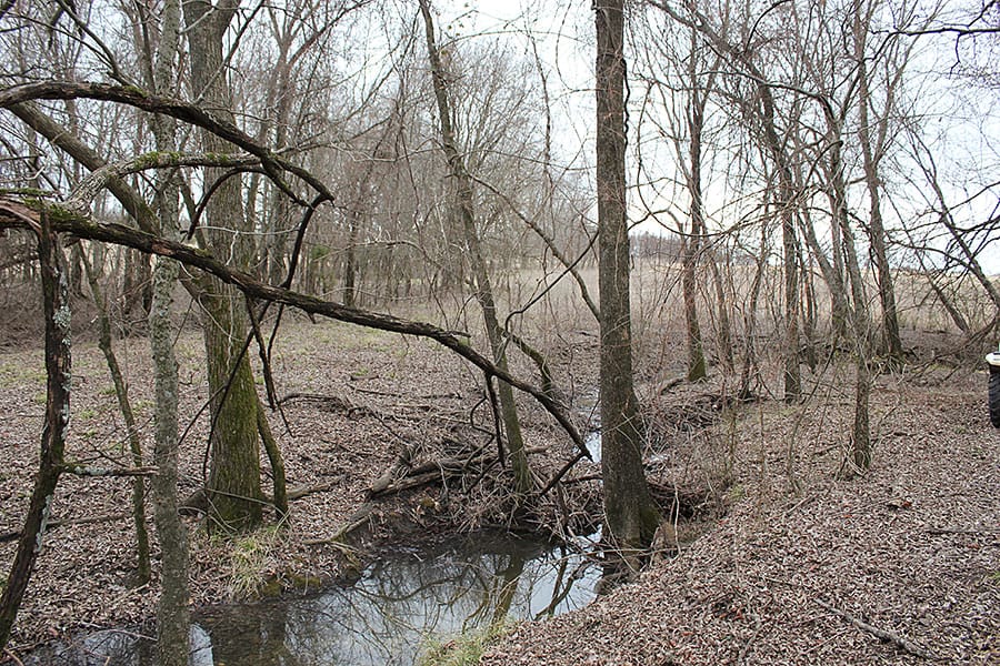 Red River Ranch Tract 11 photo 16
