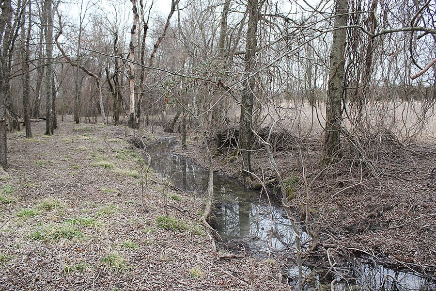 Red River Ranch Tract 11 photo 17