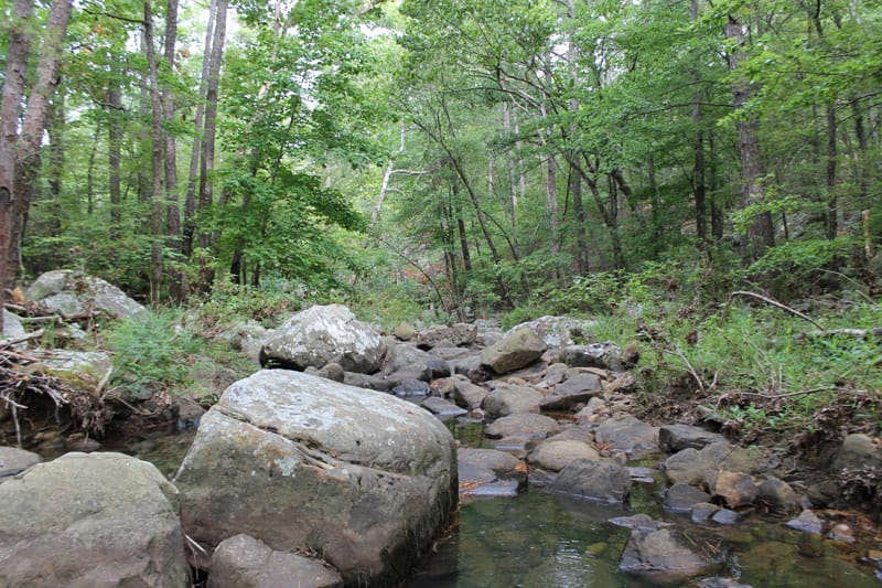 Trophy Ridge Phase III Tract 11 photo 2