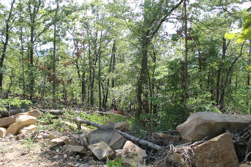 Trophy Ridge Phase III Tract 11 photo 5