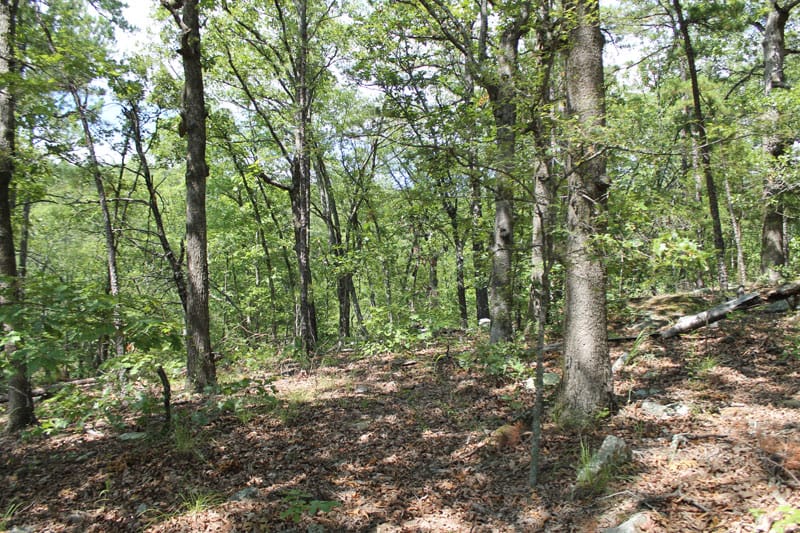 Trophy Ridge Phase III Tract 11 photo 1