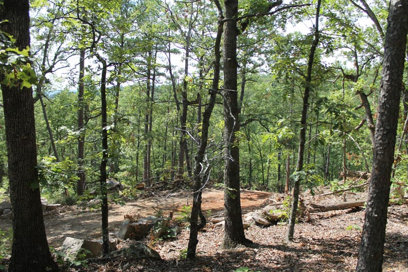 Trophy Ridge Phase III Tract 11 photo 10