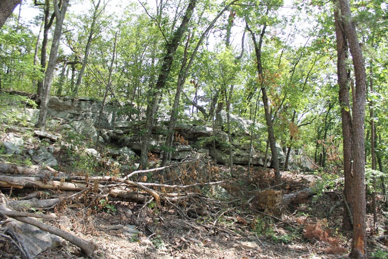 Trophy Ridge Phase III Tract 11 photo 11