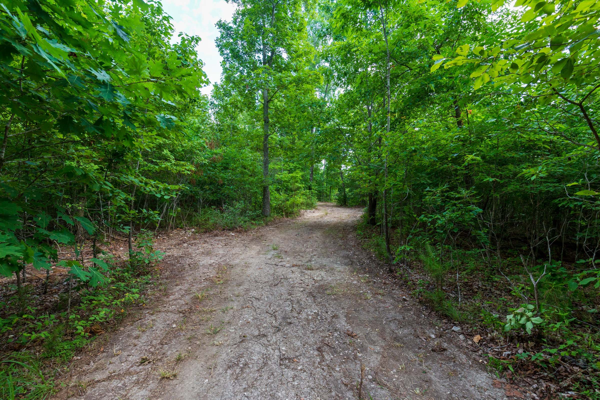 Cypress Ridge Tract 19 photo 1