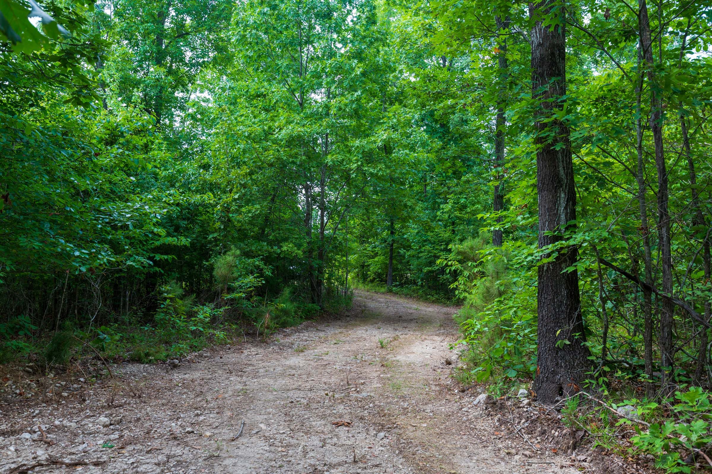 Cypress Ridge Tract 19 photo 4