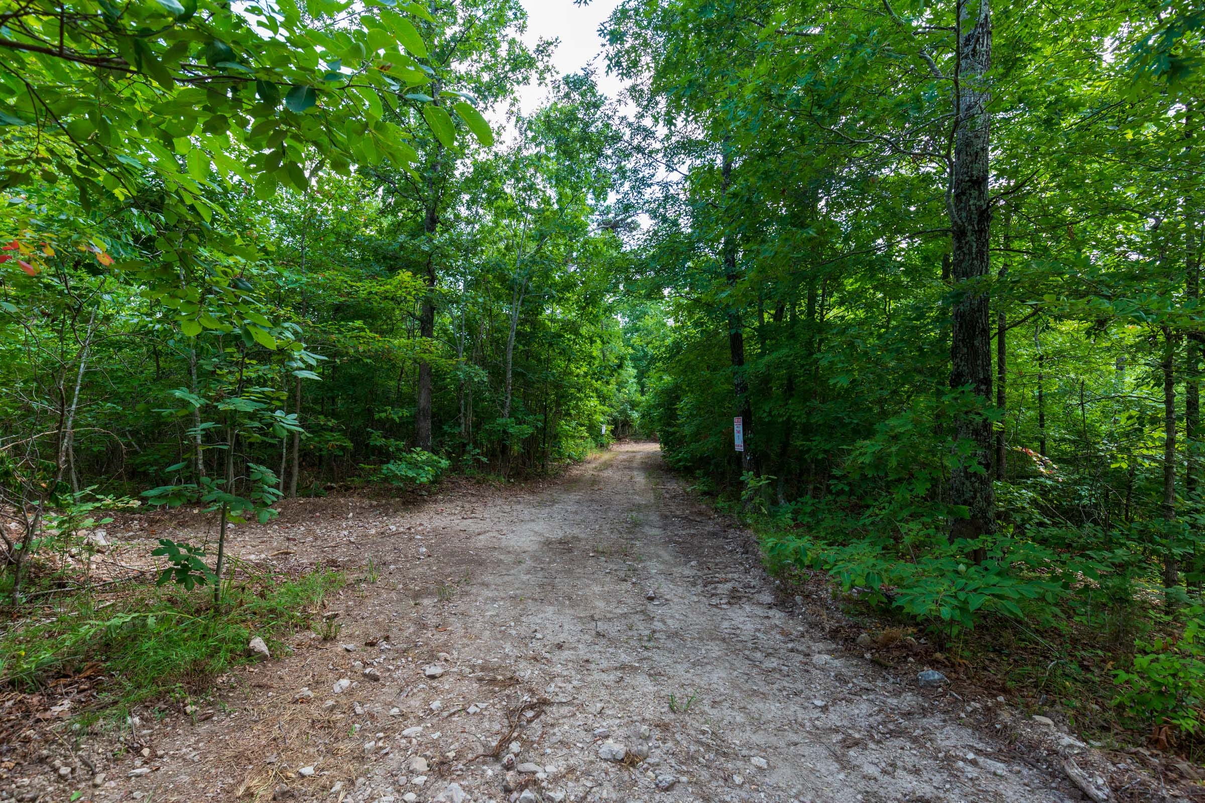 Cypress Ridge Tract 19 photo 7