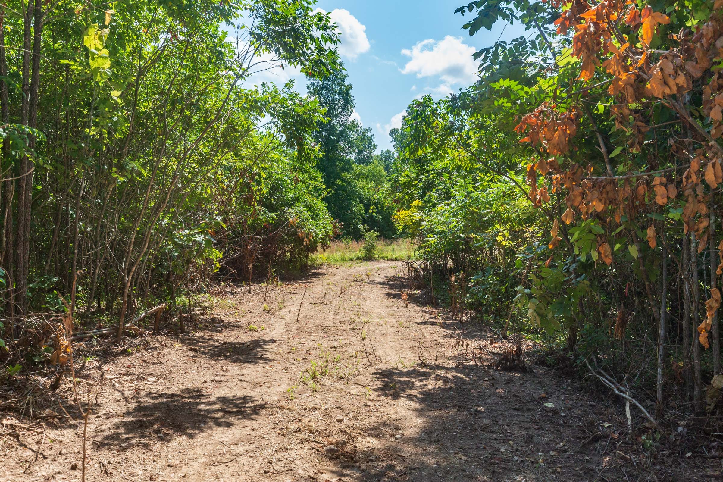 Cypress Ridge Tract 19 photo 10