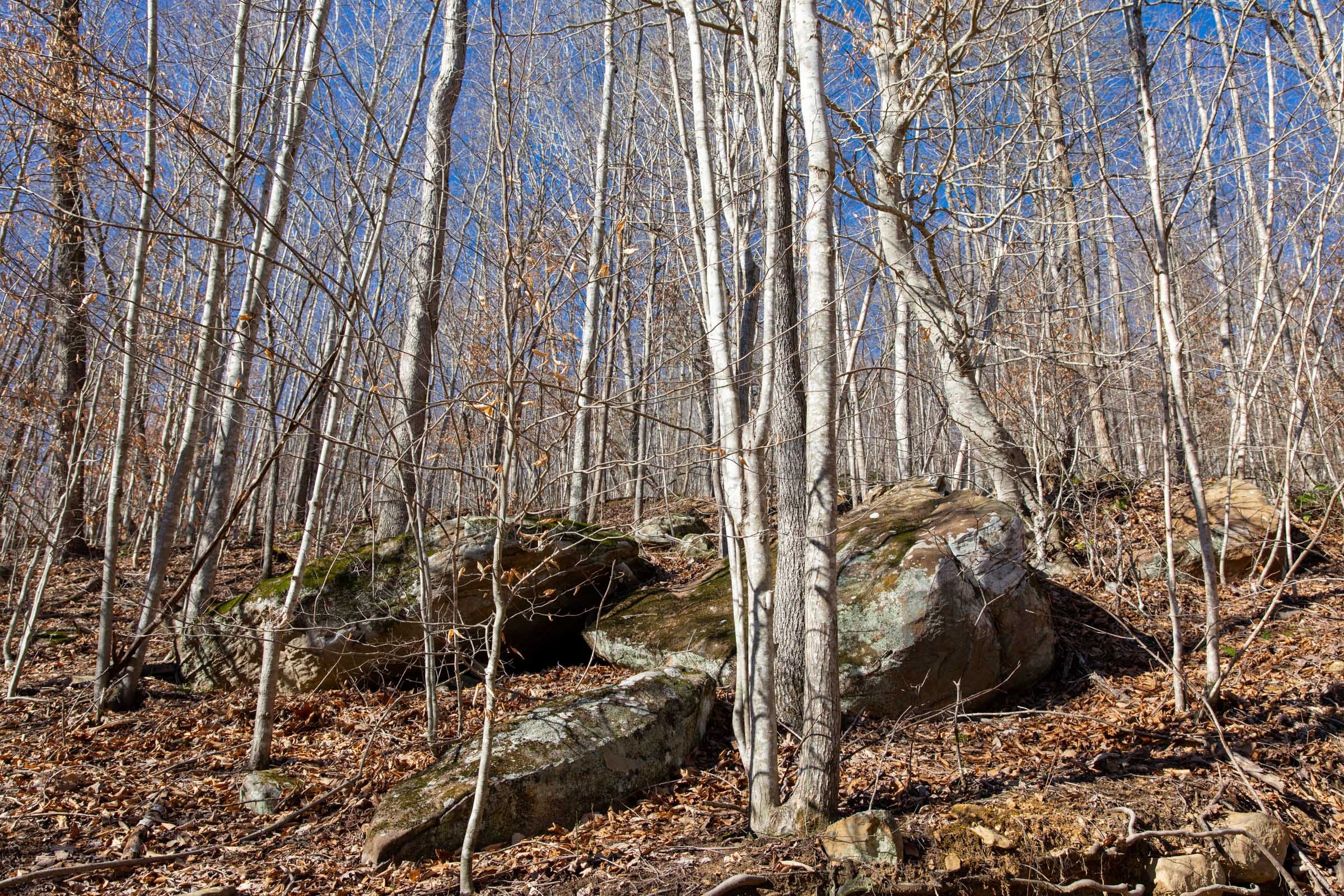 Blackstone Mountain Phase I Tract 18 photo 8
