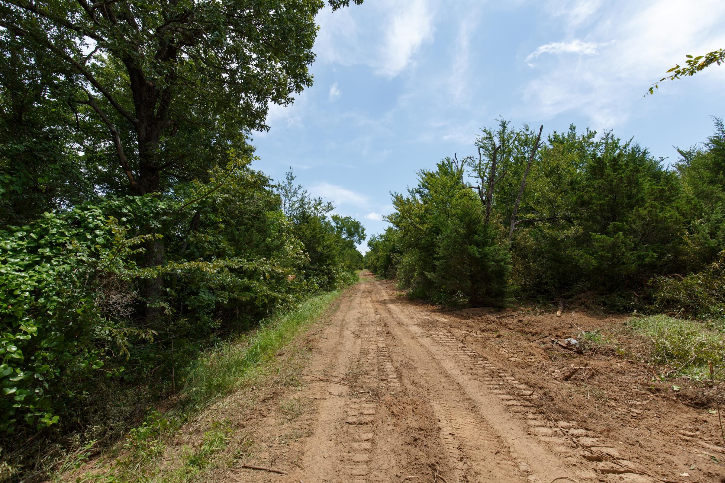 Timber Ridge Tract 38 photo 5