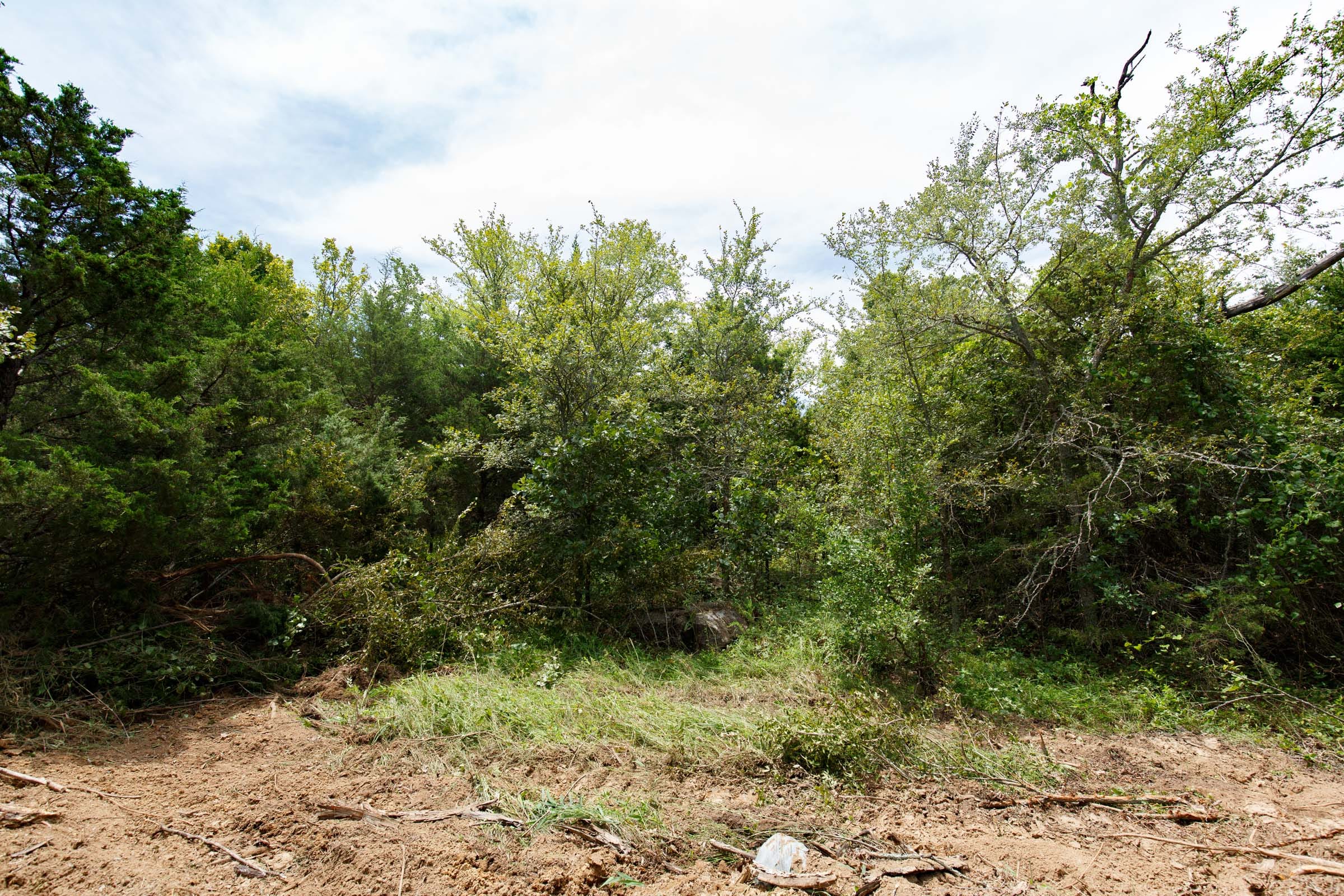 Timber Ridge Tract 38 photo 6