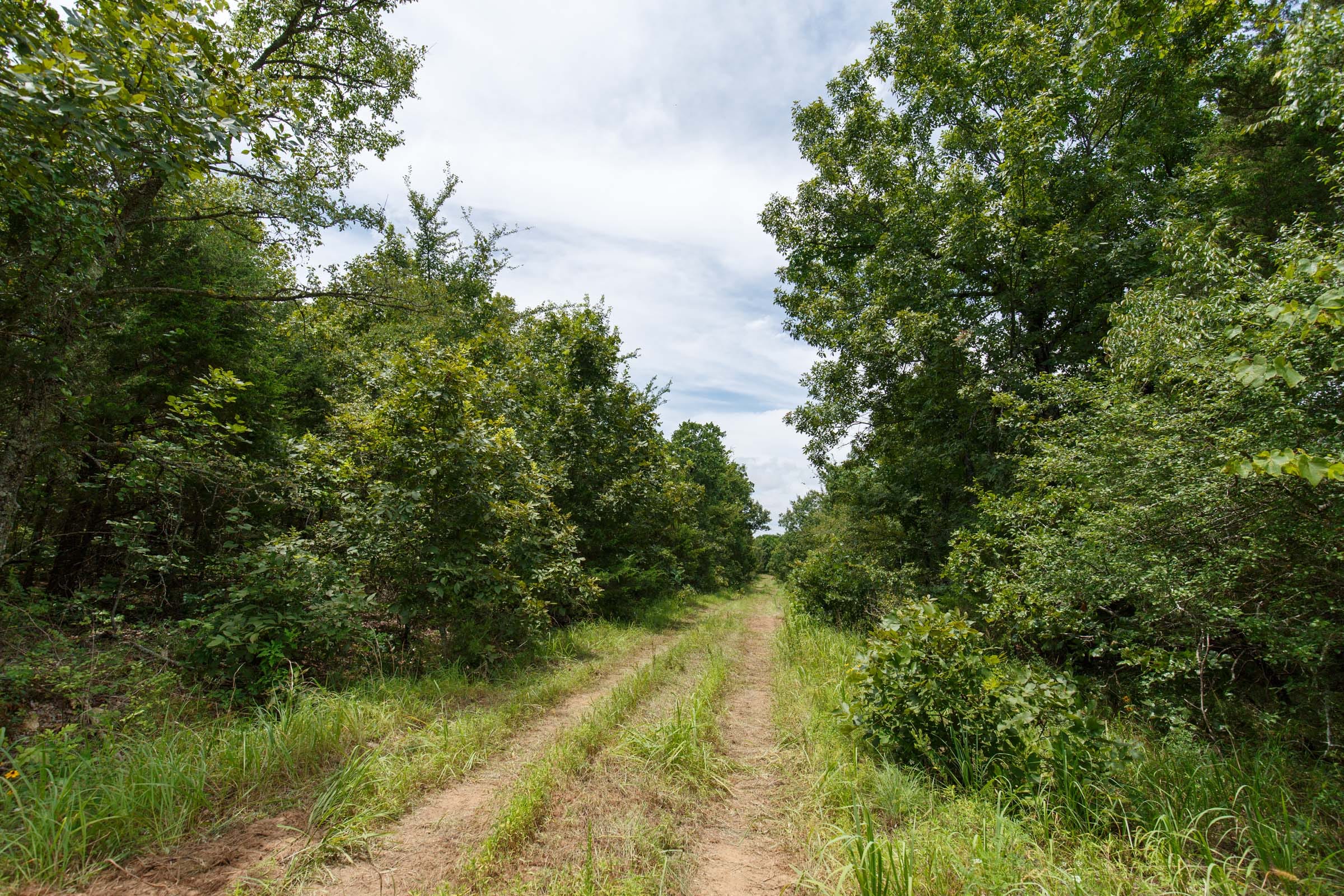 Timber Ridge Tract 38 photo 8