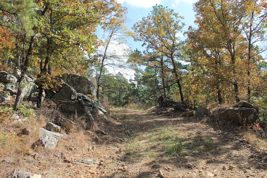Indian Ridge – Phase III Tract 103 photo 2