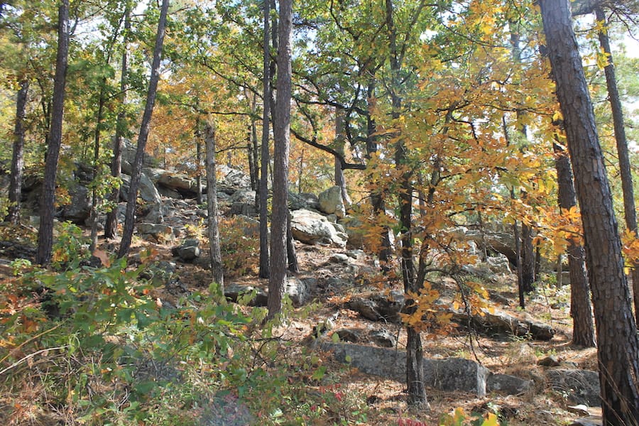 Indian Ridge – Phase III Tract 103 photo 3