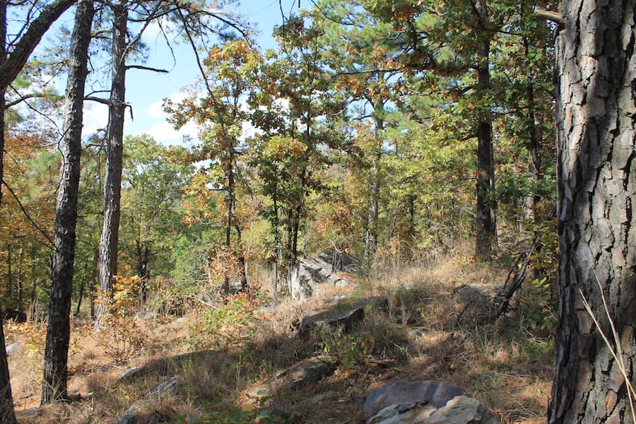 Indian Ridge – Phase III Tract 103 photo 4