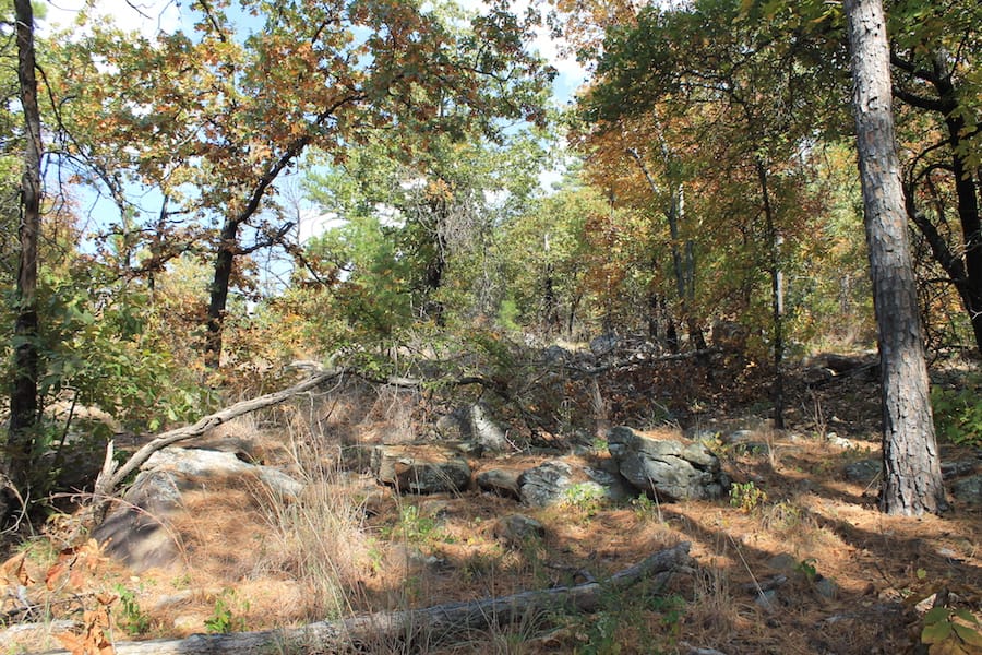 Indian Ridge – Phase III Tract 103 photo 5