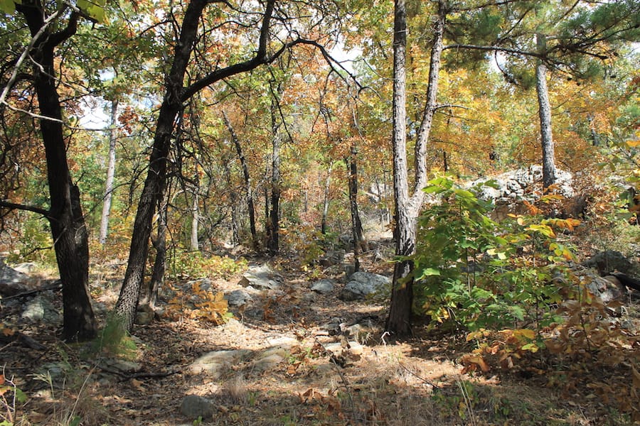 Indian Ridge – Phase III Tract 103 photo 6