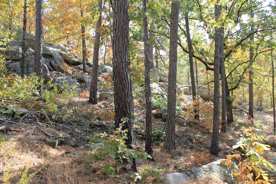 Indian Ridge – Phase III Tract 103 photo 7