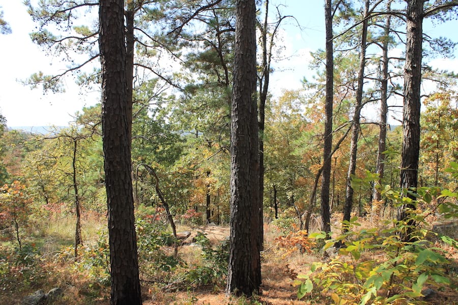 Indian Ridge – Phase III Tract 103 photo 8