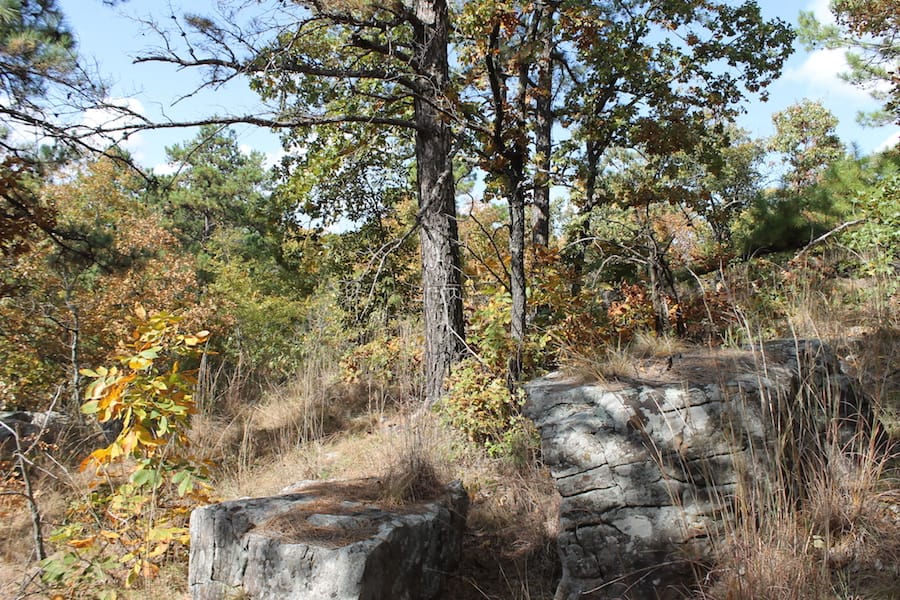 Indian Ridge – Phase III Tract 103 photo 10