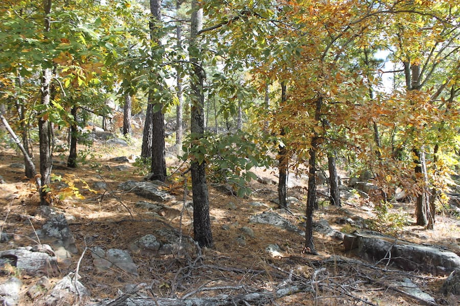Indian Ridge – Phase III Tract 103 photo 11