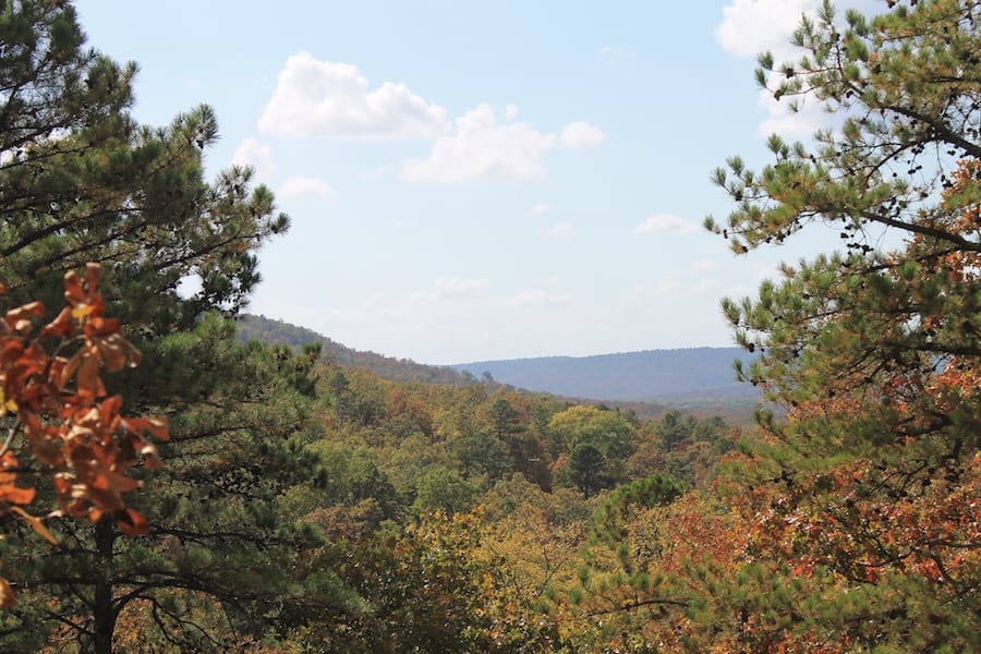 Indian Ridge – Phase III Tract 103 photo 12