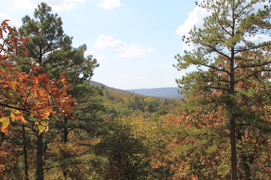 Indian Ridge – Phase III Tract 103 photo 13