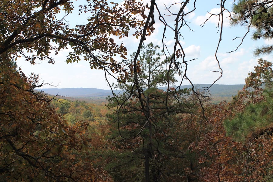 Indian Ridge – Phase III Tract 103 photo 14