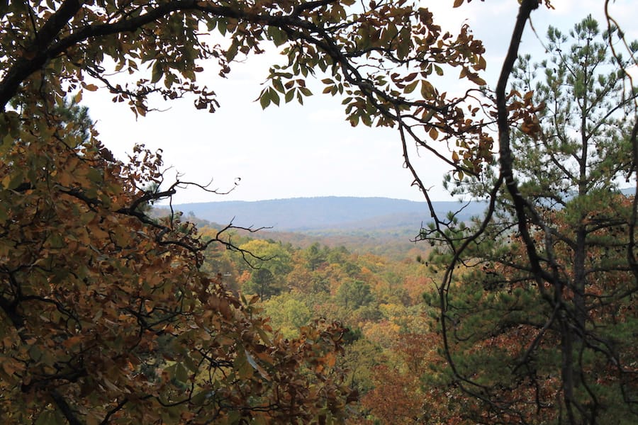 Indian Ridge – Phase III Tract 103 photo 15