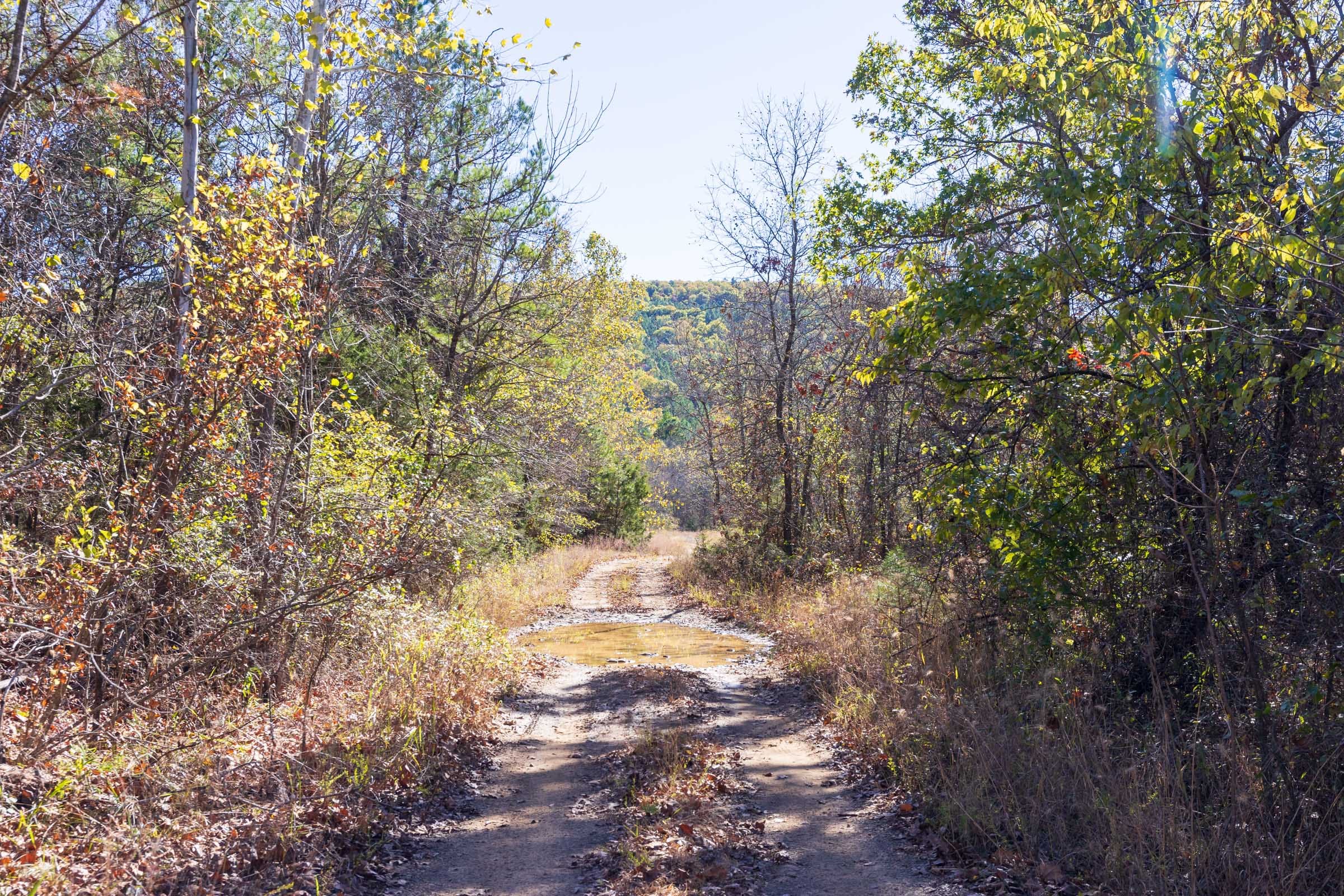 Stone Bridge Reserve Tract 12 photo 12