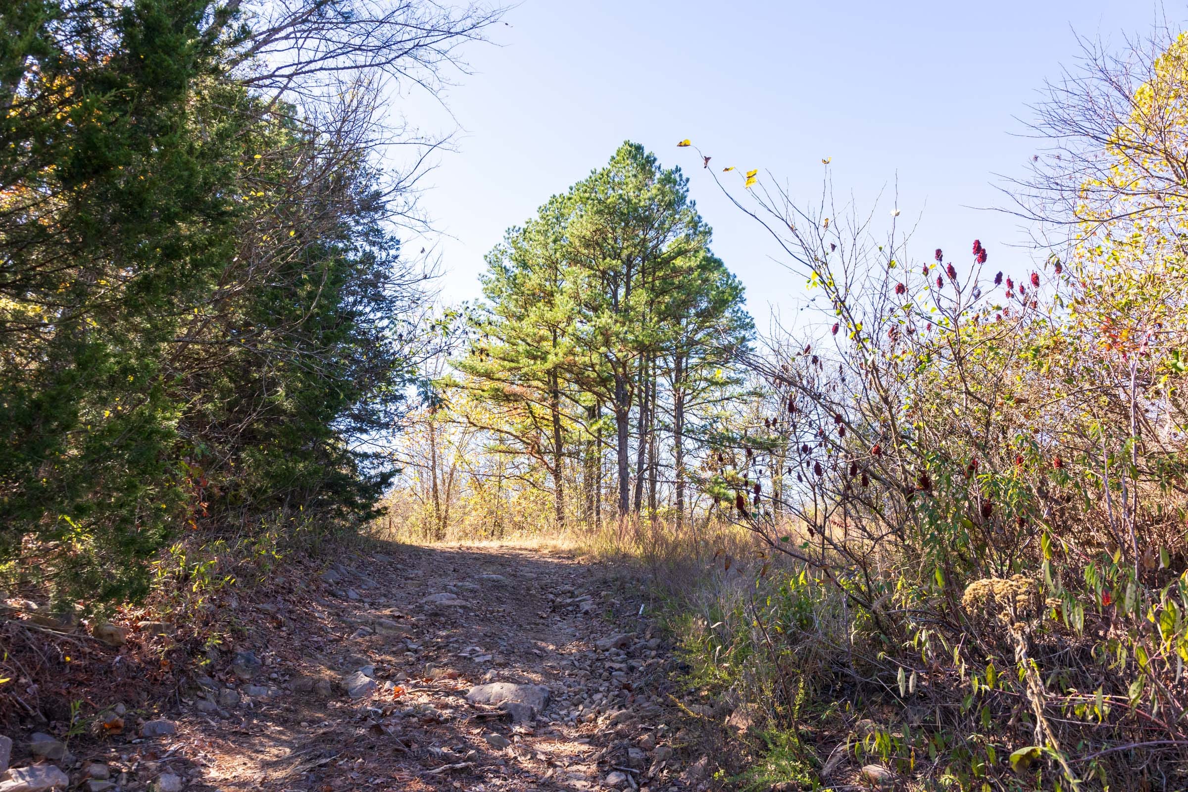 Stone Bridge Reserve Tract 12 photo 10