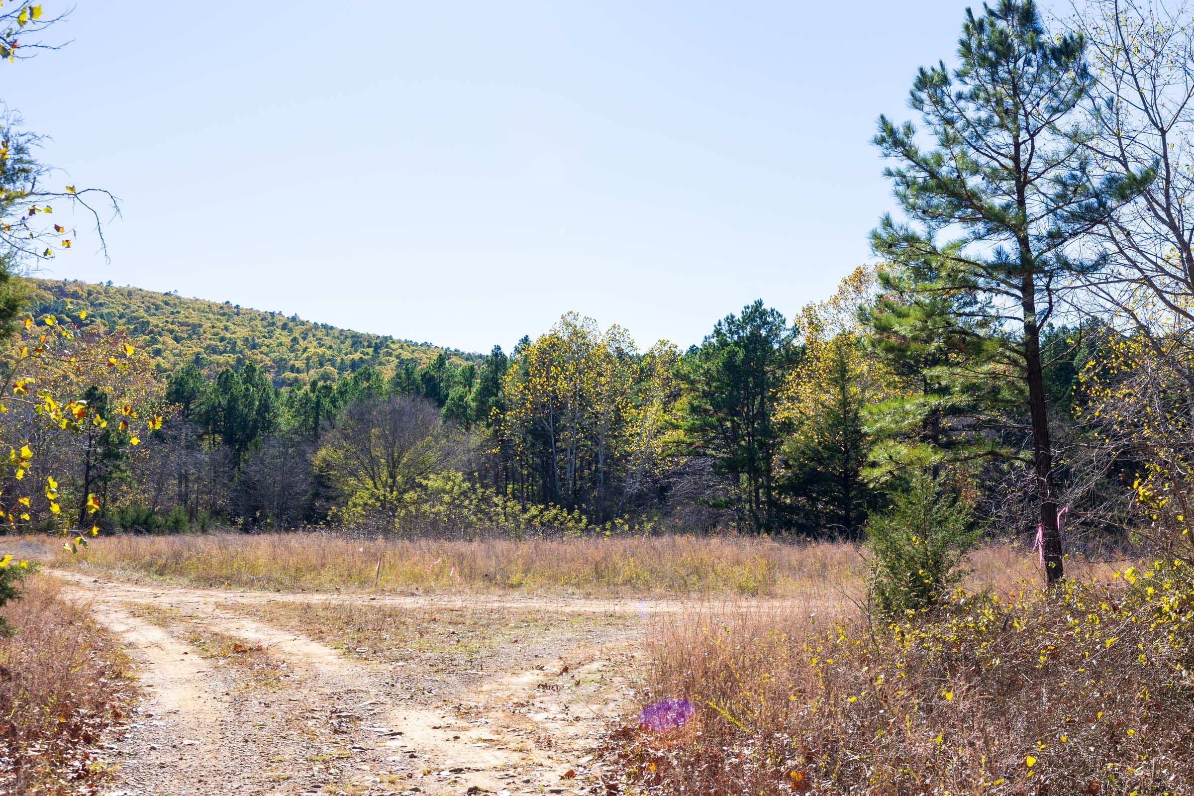 Stone Bridge Reserve Tract 12 photo 11