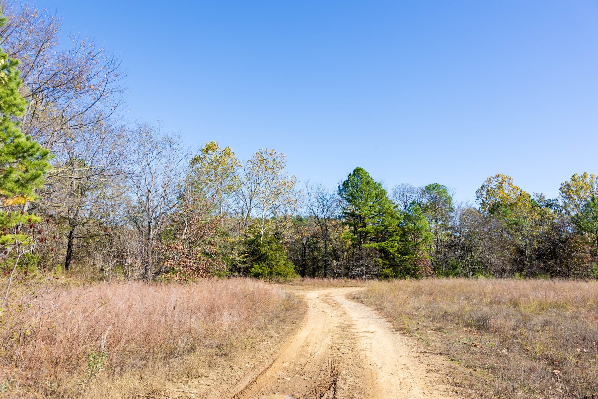 Stone Bridge Reserve Tract 12 photo 9