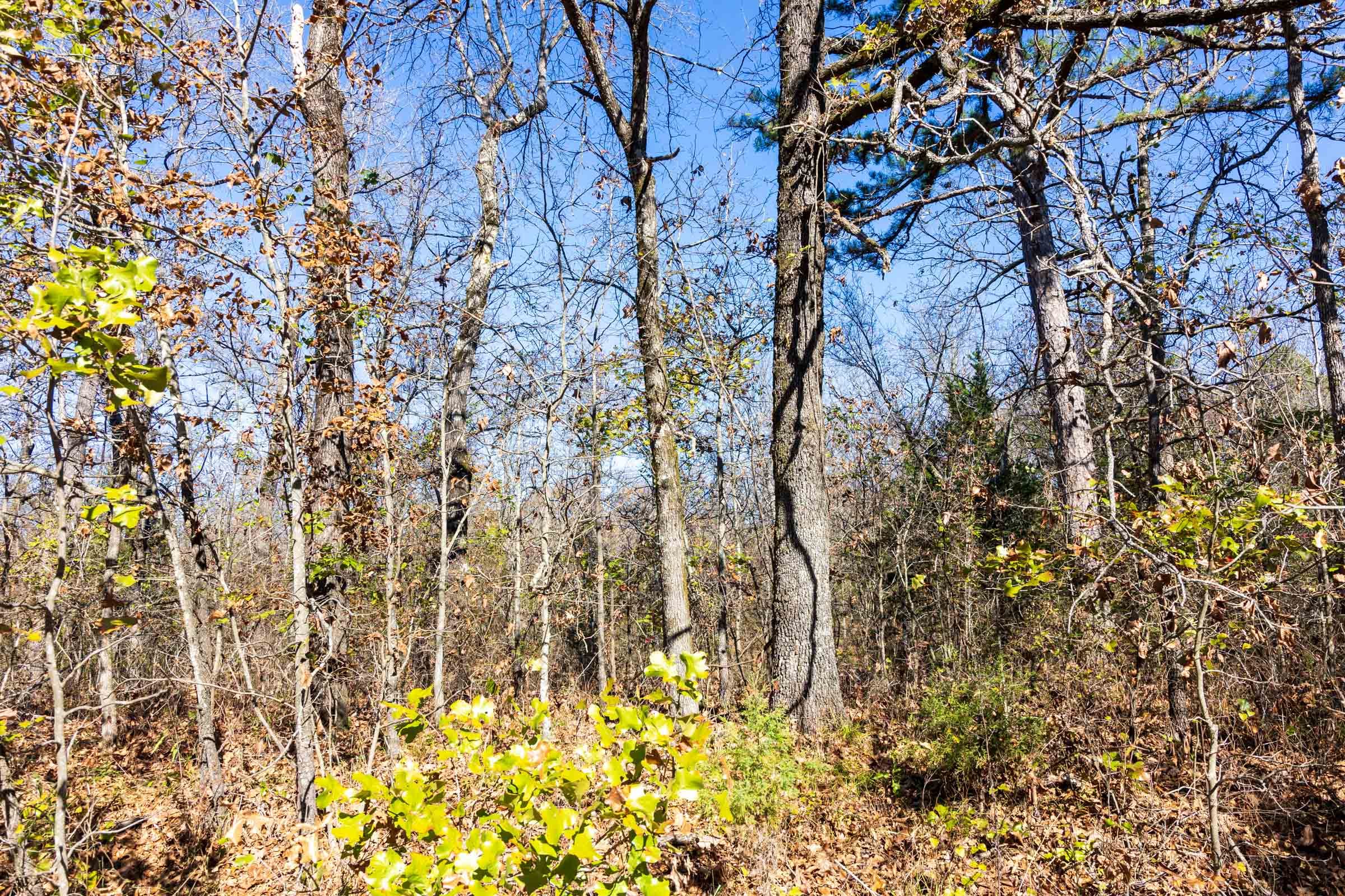Stone Bridge Reserve Tract 12 photo 6