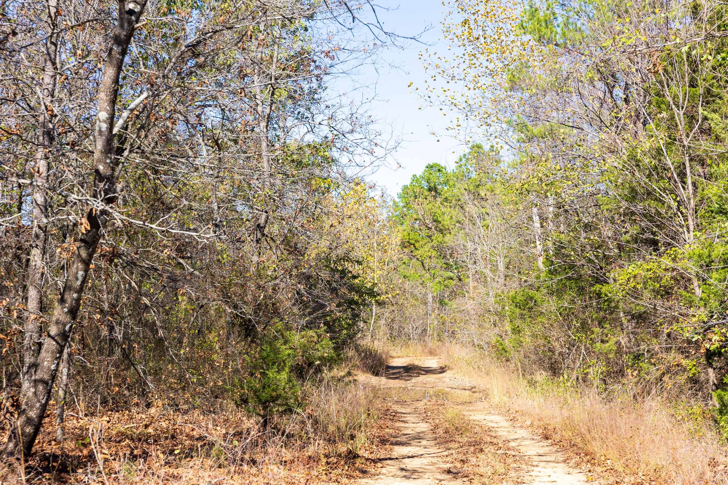 Stone Bridge Reserve Tract 12 photo 7