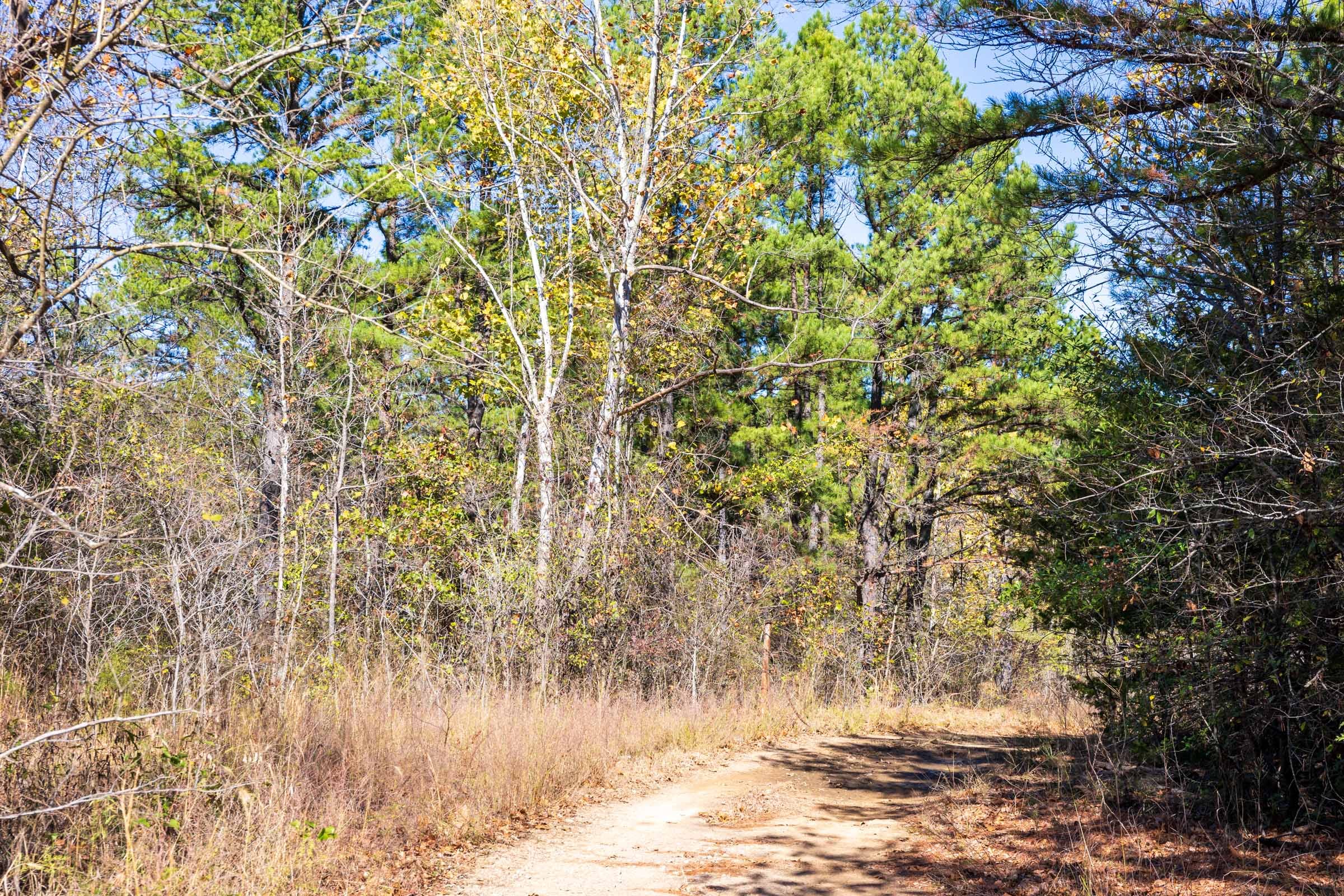 Stone Bridge Reserve Tract 12 photo 5