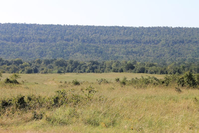 Daisy Meadows Tract 28 photo 2