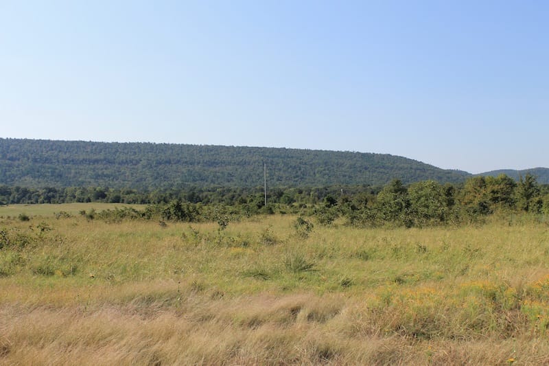 Daisy Meadows Tract 28 photo 3