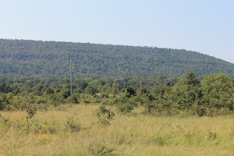Daisy Meadows Tract 28 photo 5