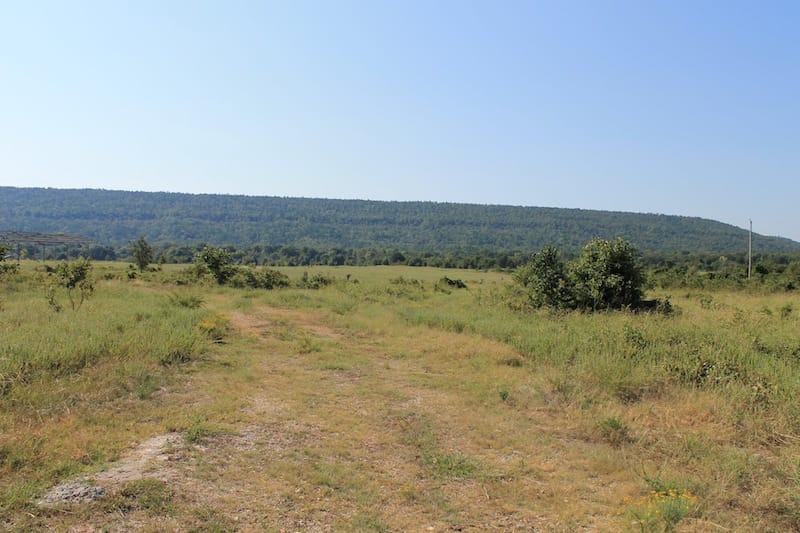 Daisy Meadows Tract 28 photo 6