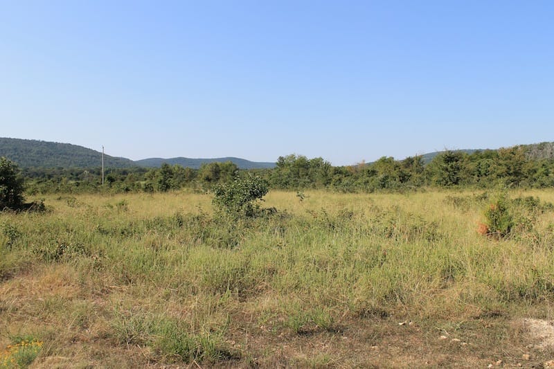 Daisy Meadows Tract 28 photo 7
