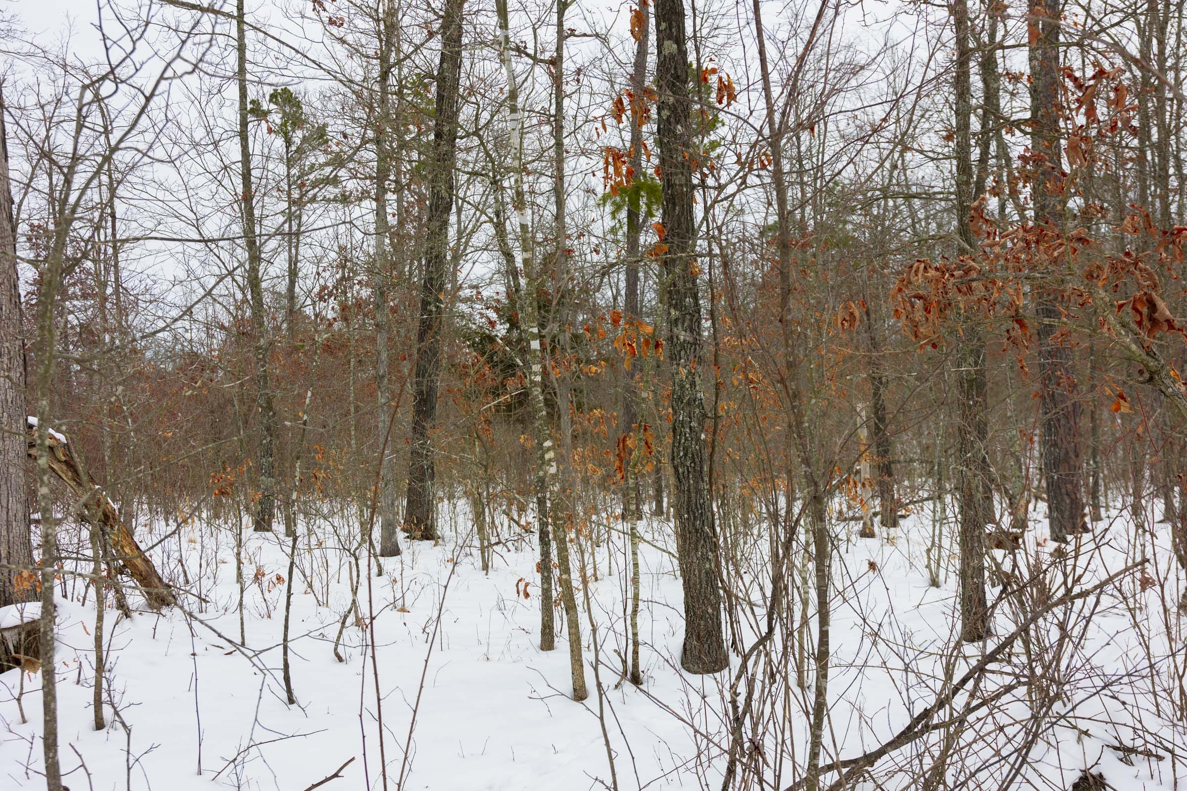Sleepy Hollow Phase I Tract 11 photo 13